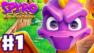 Spyro Reignited Trilogy  Spyro The Dragon  Gameplay Walkthrough Part 1  Artisans 120 [upl. by Coryden]