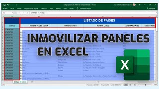 Como Inmovilizar paneles en Excel  FACIL Y RÁPIDO [upl. by Ekez]