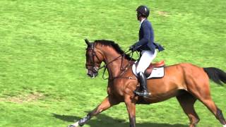 Rodrigo Pessoa amp JORDAN II  CSI 5 Dinard 2015 1m55 Prix Suez Environnement [upl. by Sokram121]