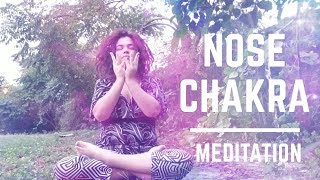 Nose Chakra Meditation [upl. by Llewej]