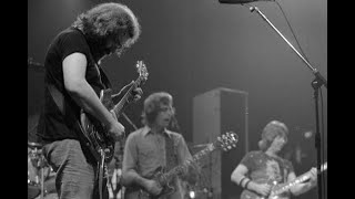 Grateful Dead  New Minglewood Blues  3981  MSG [upl. by Chalmer]