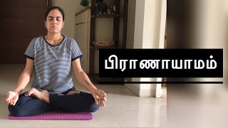 How to do Pranayama Beginner guide  55  பிராணாயாமம் செய்வது எப்படி [upl. by Ecadnak]