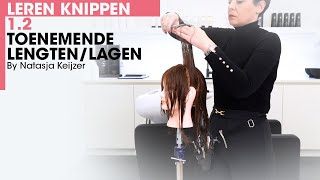 Leren Knippen 12 Toenemende Lengten  Lagen  Volume lagen  By Natasja Keijzer [upl. by Christoforo]