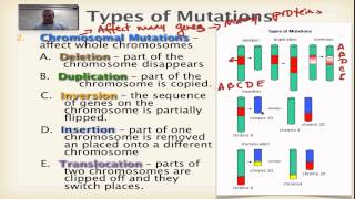 Chapter 13 Part 7  Chromosomal Mutations [upl. by Granger]