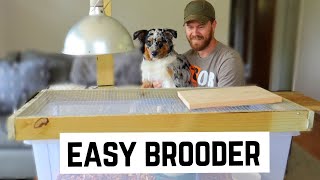 DIY Cheap and Easy Quail Brooder with Automation Features [upl. by Nylime442]