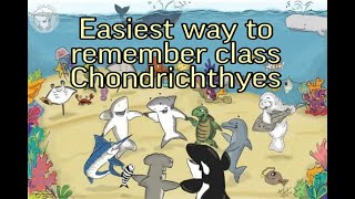 Easiest way to remember Class Chondrichthyes  AL Biology English medium  Study tips [upl. by Zack187]