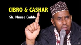 SH MUUSE CADDE SOOMAALIDU WAA EHEL IYO QARAABO EE ISKA JIRA [upl. by Bel131]