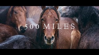 500 Miles  The Story of Ranchers and Horses 2017 [upl. by Kcaj551]