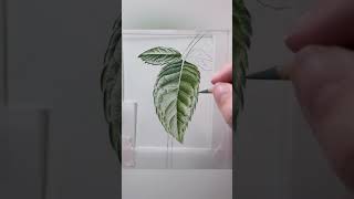 A little about my love for art 🌸 arthelp artistsofyoutube botanicalart artutorial watercolour [upl. by Ahseikal]