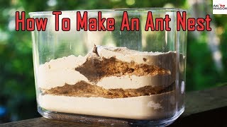 How To Make An Ant FarmNestFormicarium [upl. by Drawdesemaj]