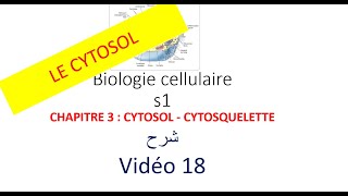 biologie cellulaire s1 vidéo 018  CYTOSOL  CYTOSQUELETTE شرح [upl. by Hewett]