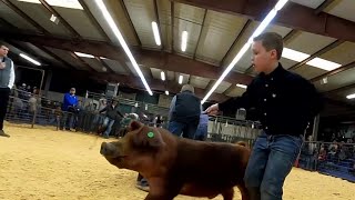 Somerset ISD students participate in 70th Atascosa County Livestock Show [upl. by Nov806]