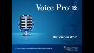 Voice Pro 12 Spracherkennung Druckreifes Diktieren in Word [upl. by Tilda]