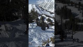 snowbird flyingsquirrelair contentgoblin👹 coolsong freeride [upl. by Nomelc]