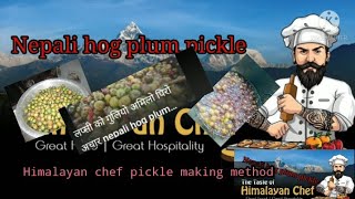 Lapsi ko Acharलप्सी काे गुलियो अमिलो पिरो अचार How to make lapsi sweetsourhotpickle recipe [upl. by Nido]