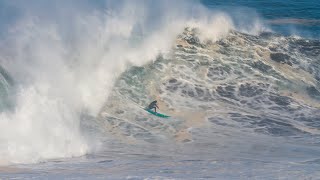 PUNTA DE LOBOS  CHILE 2019 [upl. by Novahc377]