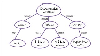 Concept mapping [upl. by Ahsatel]