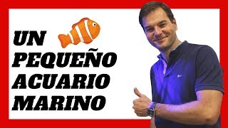 Cómo MONTAR Un Pequeño ACUARIO MARINO con un filtro Hydra® La Tecnología Sigue Avanzando🐠 [upl. by Aned997]