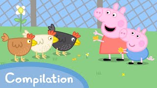 Pretty Polly The Parrot 🦜  Peppa Pig Official Full Episodes [upl. by Laenej749]