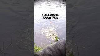 Surprise Catch On The Ultralight River Fishing fish fishing [upl. by Sunev]