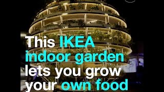 This IKEA indoor garden lets you grow your own food [upl. by Ardnoid]