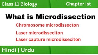 What is Microdissection  Chromosome microdissection  Laser microdissection [upl. by Bigg]