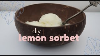 How to make lemon sorbet vegan recipe [upl. by Alhsa]