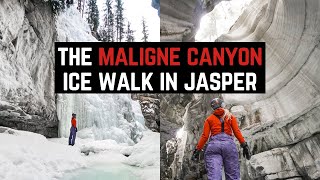 Maligne Canyon Ice Walk Dont Miss it This Winter in Jasper [upl. by Gregg279]