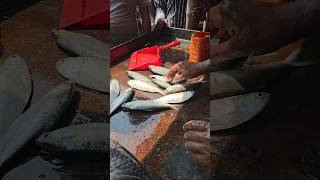 Very fresh fishes from Chandpur [upl. by Ingrid126]