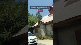 Kashmir trip ganderbal ❤️💕❤️ youtubeshort travel kashmirtour Arfsheen60 [upl. by Decamp283]