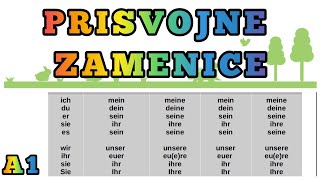 A1 LEKCIJA 17● PRISVOJNE ZAMENICE ●TABELA  PRIMERI [upl. by Hannahoj]