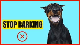 Noise Only Dogs Can Hear To Stop Barking [upl. by Esila]