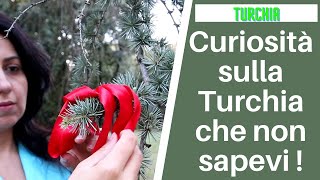 Curiosità sulla Turchia che non sapevi [upl. by Notserp]