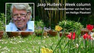 Jaap Huibers  Week column  Meidoorn beschermer van het hart en ‘heilige plaatsen’ [upl. by Tran]