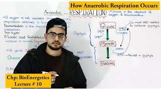 Anaerobic respiration  Fermentation  And its Types [upl. by Eednac]