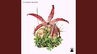 Clathrus Archeri [upl. by Mochun211]