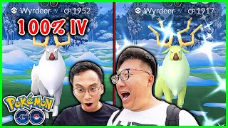 Boosted Shiny And Hundo Wyrdeer Caught On The First Day in Pokemon GO BUT [upl. by Mathre]