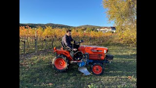 Anhäufeln im Weinbau ein Pflug ist genug [upl. by Madda705]