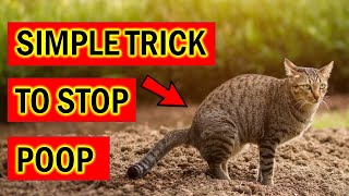 Stop Cats Pooping Instantly in Your Garden With This Simple Trick [upl. by Jehiel]