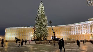 Главная ёлка СанктПетербурга 20212022 на Дворцовой площади – 90летняя лесная красавица [upl. by Tereb]