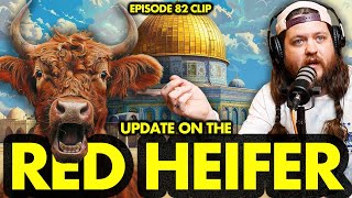 Update On The Red Heifer Sacrifice In Israel  Ninjas Are Butterflies [upl. by Peonir540]