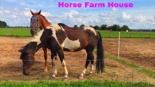 A Horse Farm House in Germany  ein Bauernpferd Stall in Deutschland  Chatha FoodampVlog [upl. by Anauqat]