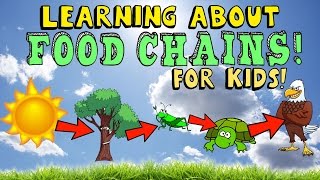 Learning About Food Chains [upl. by Maureen]