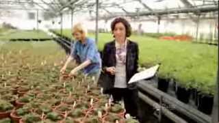 TV Spot  Similasan  Greenhouse  Protect Your Sensitive Eyes  Feel Good About Feeling Better [upl. by Ecaj823]