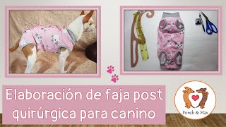 DIY 🐶 Elaboración de faja post quirúrgica para caninos📌 🥰 Ropa para perros y mascotas ❤❤❤ [upl. by Nyleuqaj]