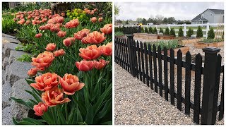 Spring Blooms amp Vegetable Garden Tour 🌸🥦😃 Garden Answer [upl. by Accebar]