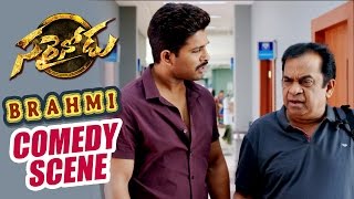 Home Theatre Comedy scene  Sarrainodu  Allu Arjun Rakul Preet Catherine Tresa [upl. by Neema]