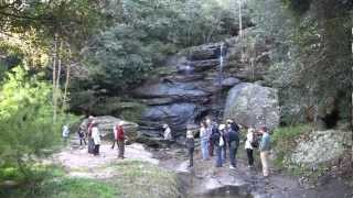 SANDSTONE SEDIMENTS AND SWASTIKAS  PNHA GEOLOGY WALK PART 1 [upl. by Hemphill]