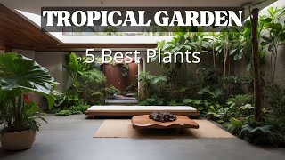 5 Best Tropical Plants for Indoor Gardens [upl. by Lancaster]