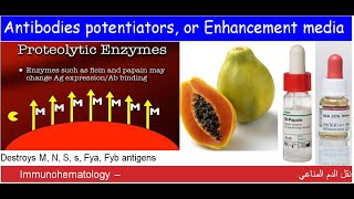 Lecture 115 Antibodies potentiators or Enhancement media [upl. by Jolyn]